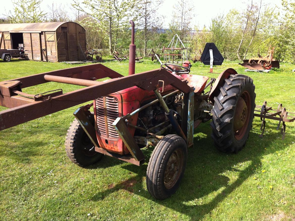 Massey Ferguson 35 Benzin billede 2