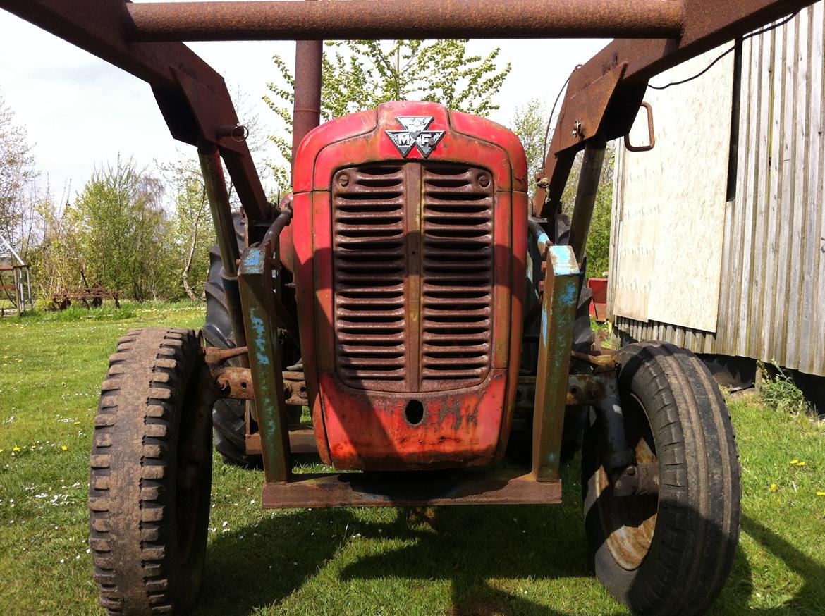 Massey Ferguson 35 Benzin billede 7