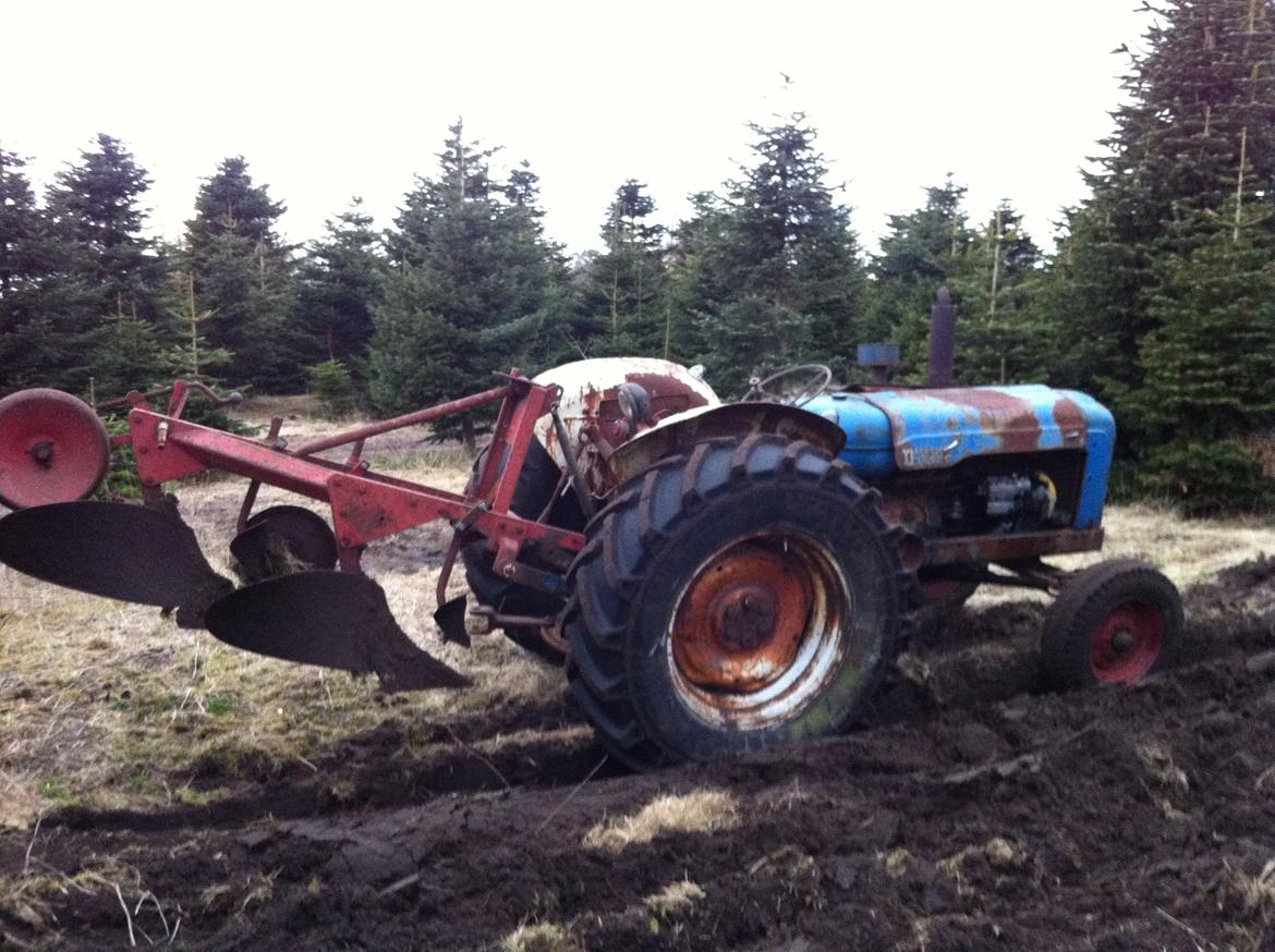 Fordson Major billede 3
