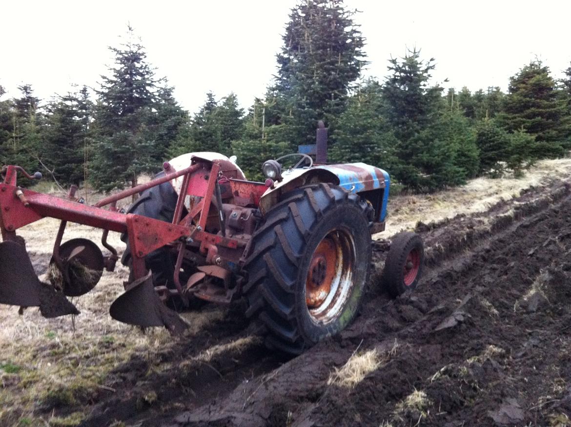 Fordson Major billede 4