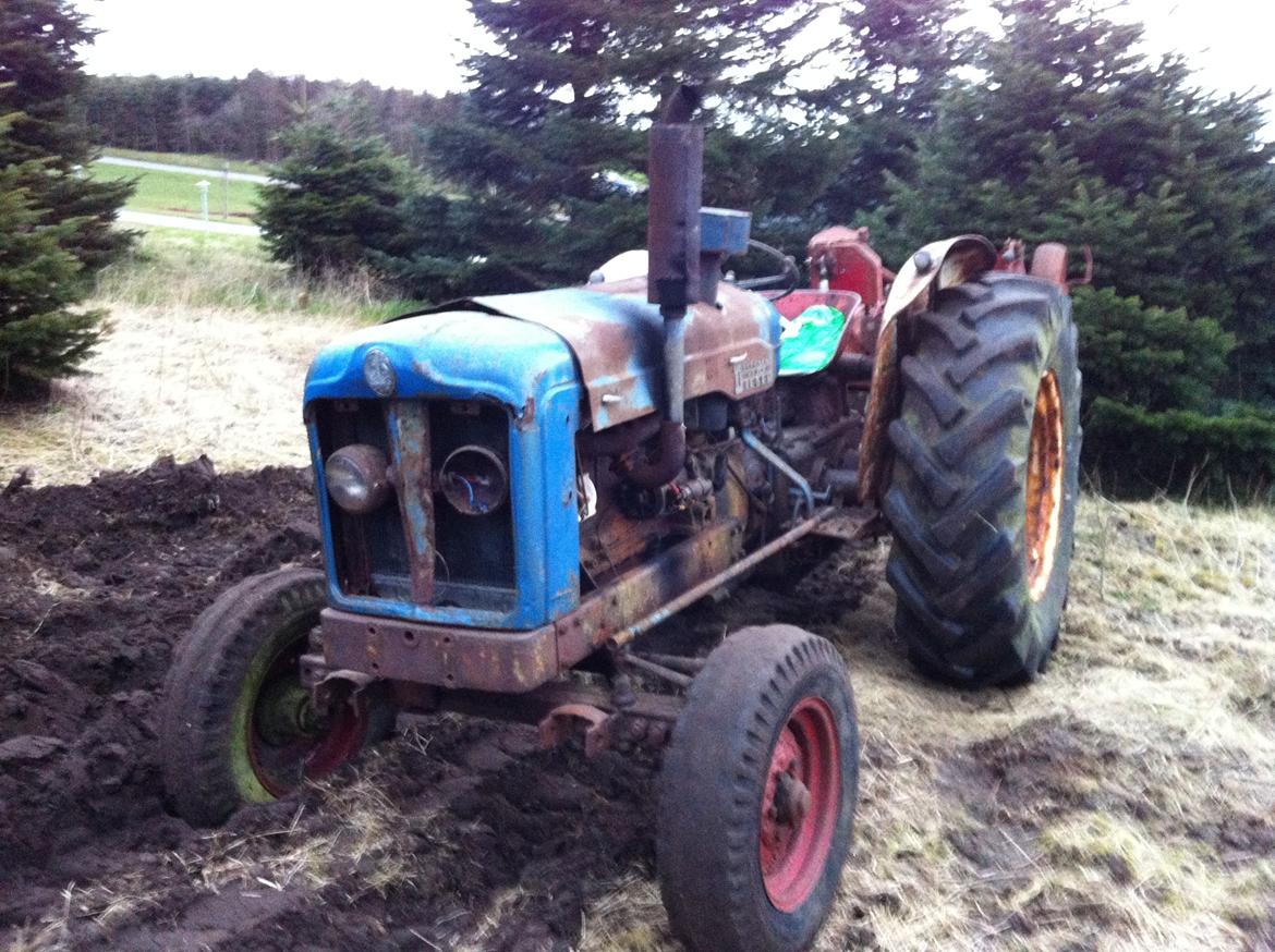 Fordson Major billede 5