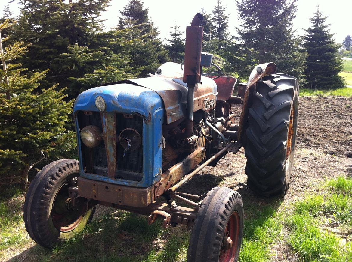 Fordson Major billede 6