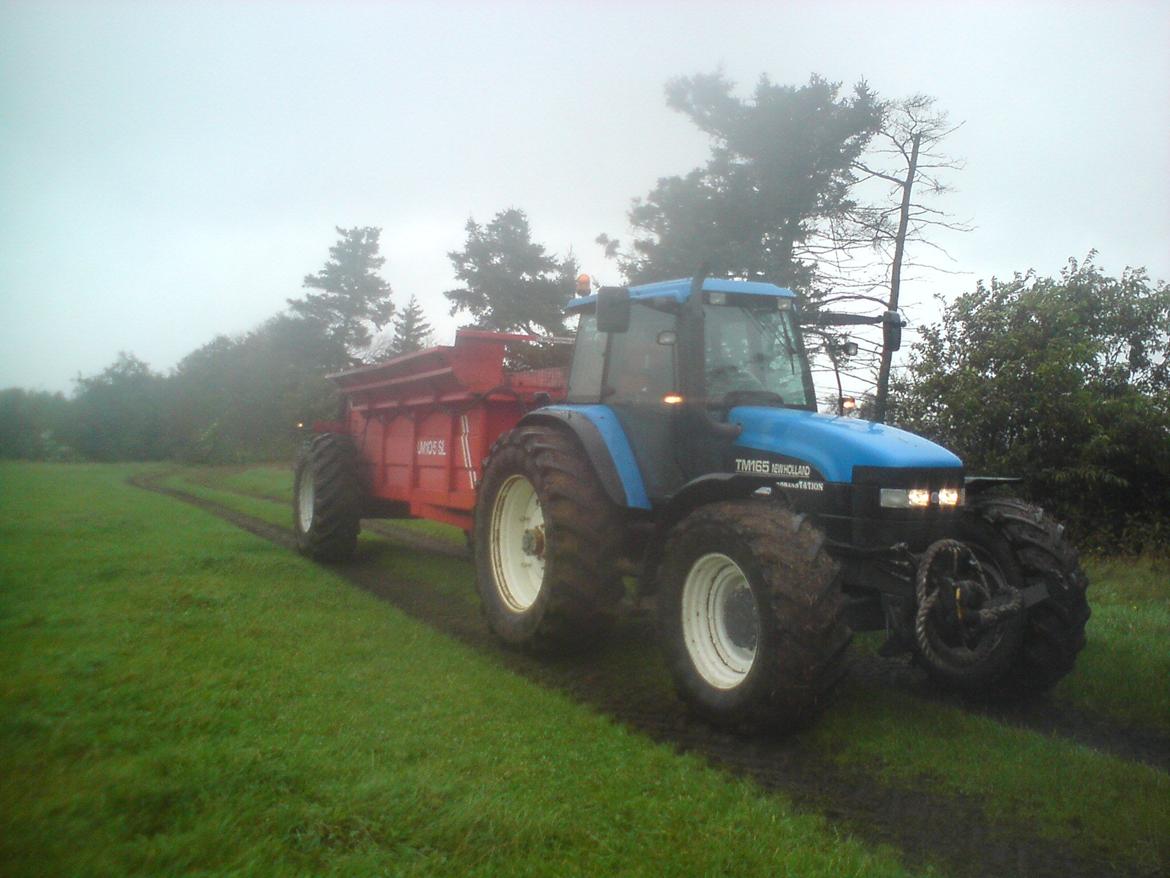 New Holland tm 165 (ultra) billede 1
