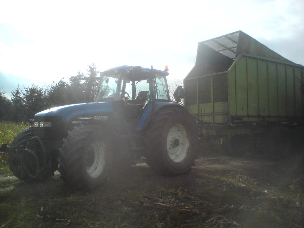 New Holland tm 165 (ultra) billede 2