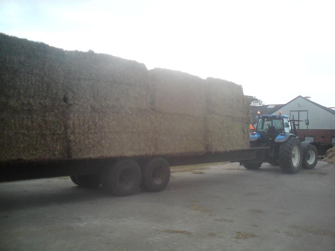 New Holland tm 165 (ultra) billede 4