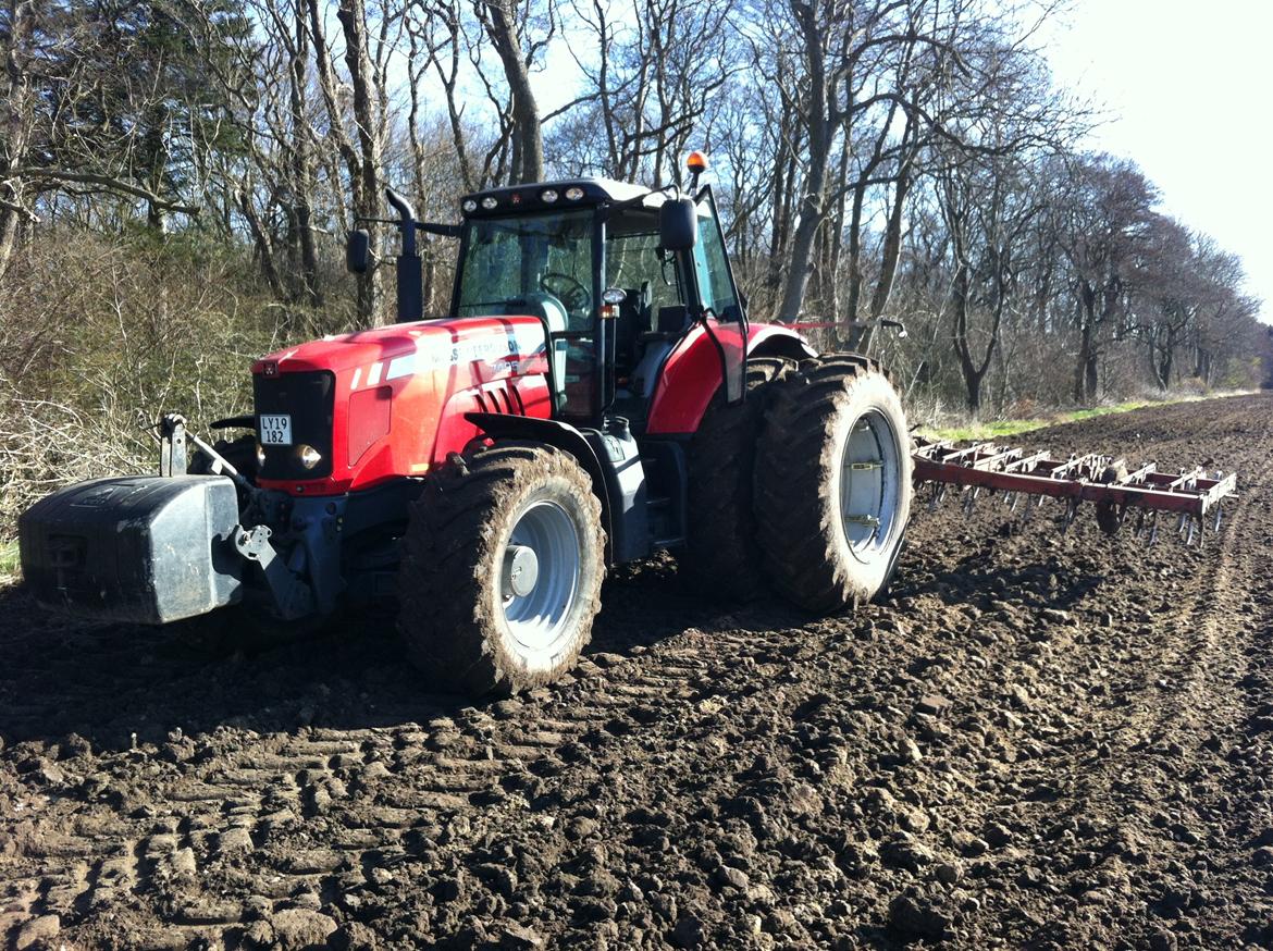 Massey Ferguson 7495 Dyna-VT billede 4