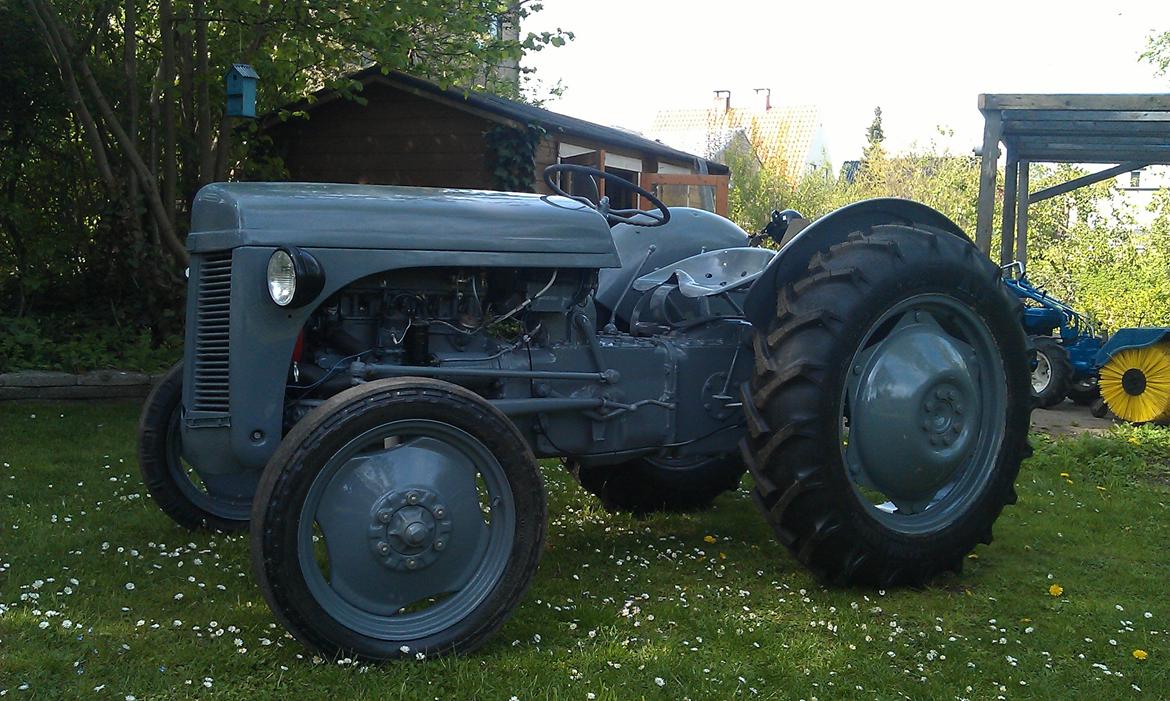 Ferguson 31 billede 1