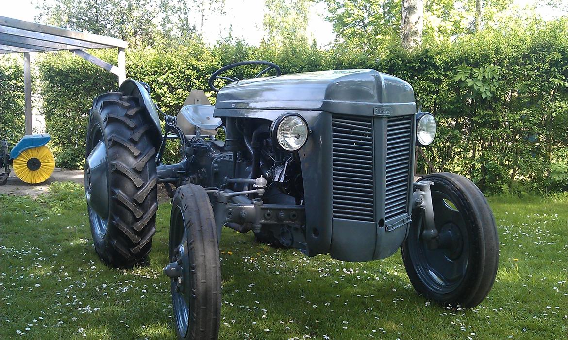 Ferguson 31 billede 2