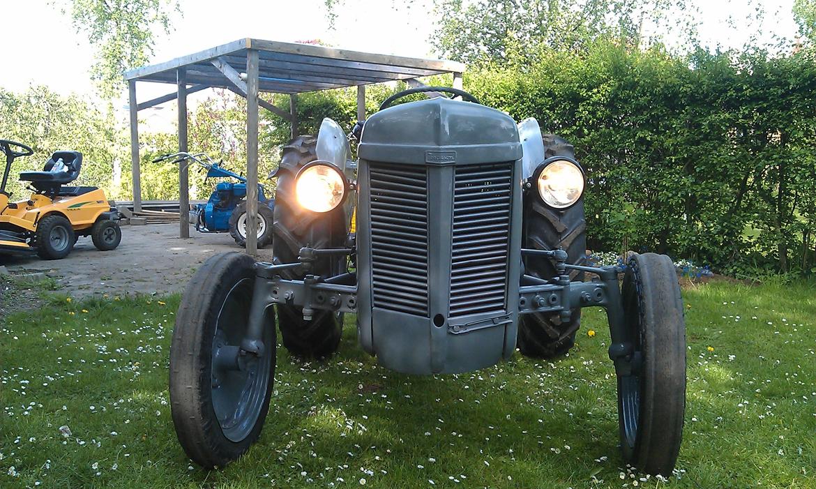 Ferguson 31 billede 11