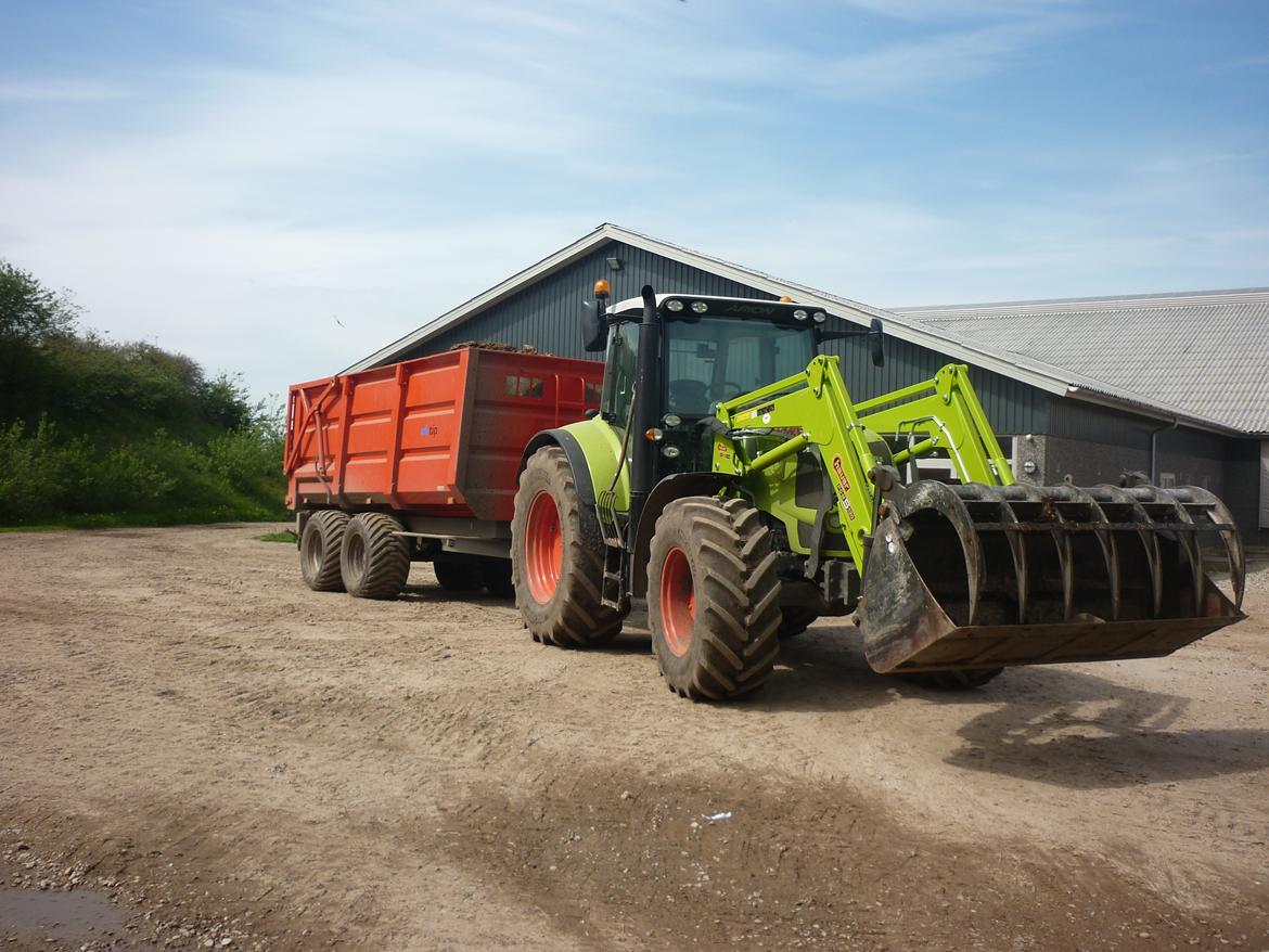Claas Arion 630 cebis billede 12