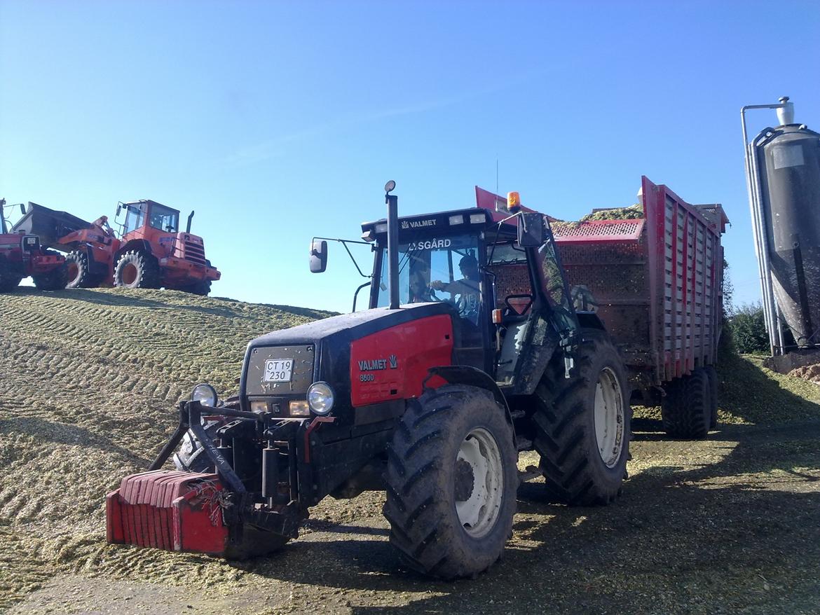 Valmet 8600 - Min far hjælper naboen med at køre majs 2011. billede 1