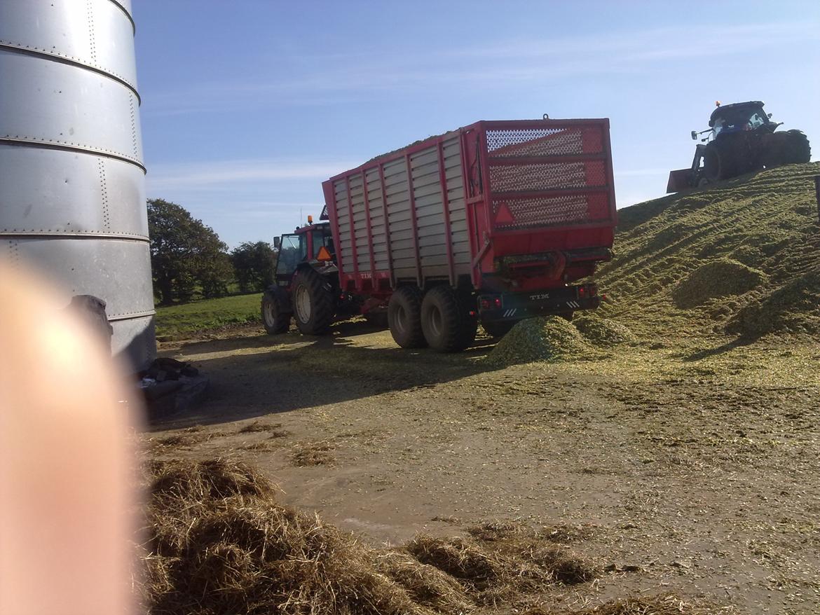 Valmet 8600 - Afsted mod marken igen. billede 3