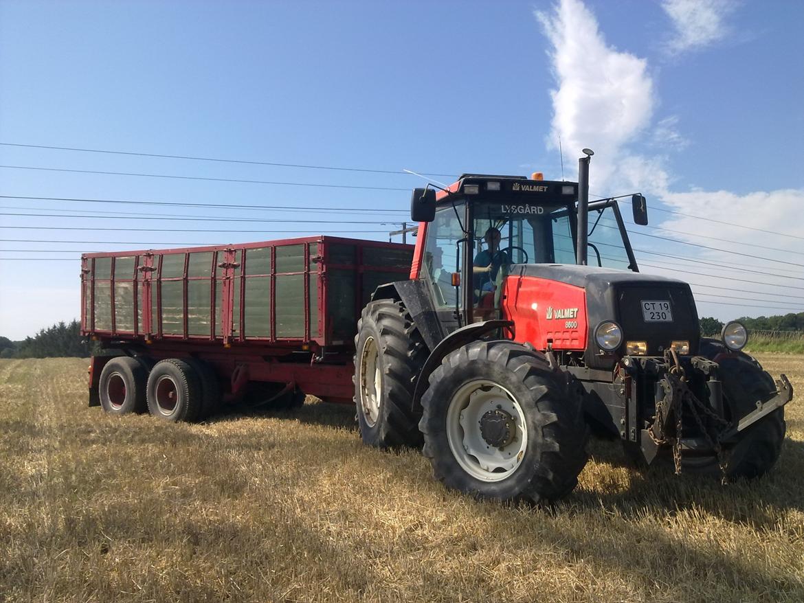 Valmet 8600 - Køre korn billede 4