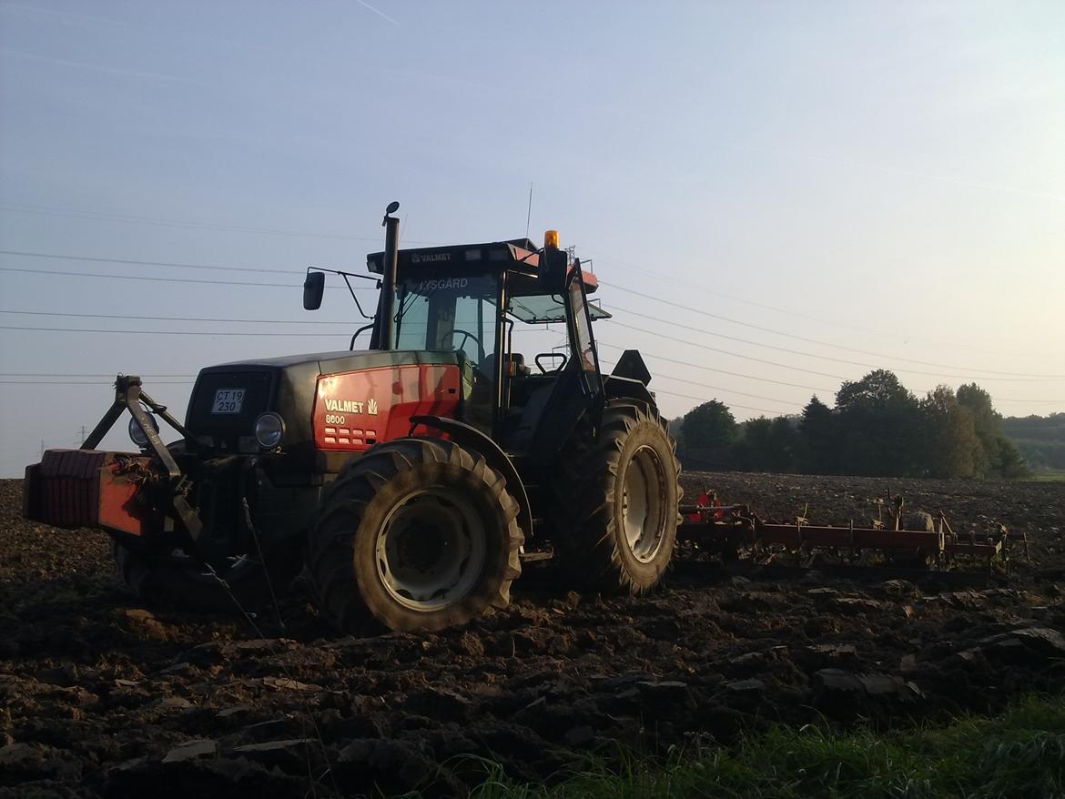 Valmet 8600 - Ved at vende på forpløjningen dejlig traktor. billede 6