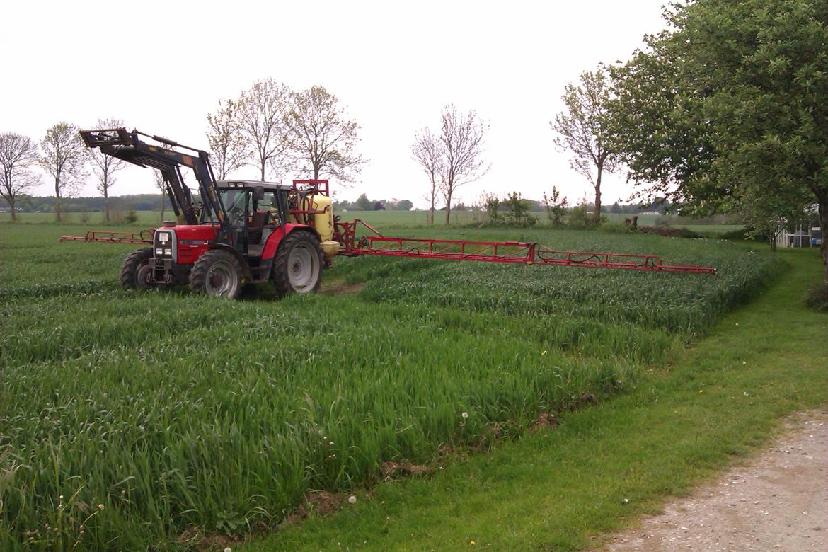 Massey Ferguson 6160 billede 11