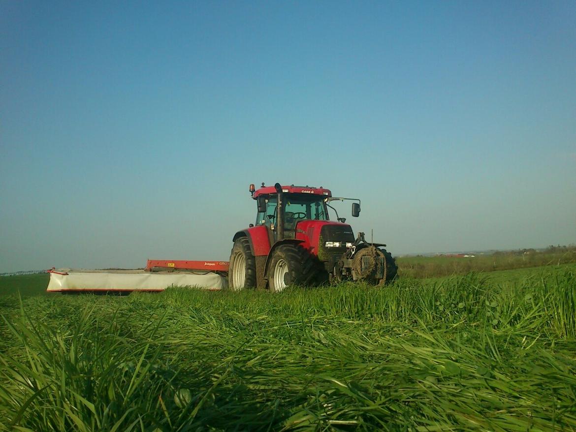 Case IH cvx 195 Rødhætte - Første slæt græs 2012 billede 9