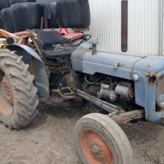 Fordson dexta