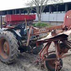 Fordson dexta