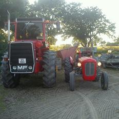 Massey Ferguson 1200