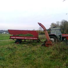 Massey Ferguson 365