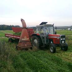 Massey Ferguson 365