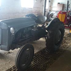 Ferguson 31