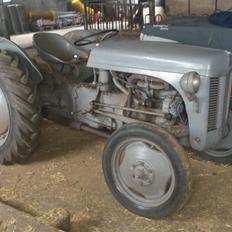 Ferguson 31