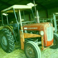 Massey Ferguson 35 (Ejer) lille røde