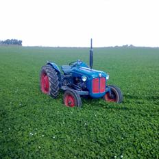 Fordson Dexta