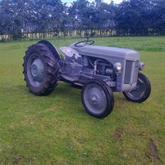 Ferguson 31