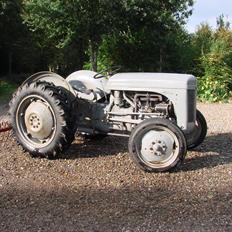 Massey Ferguson Tea 20