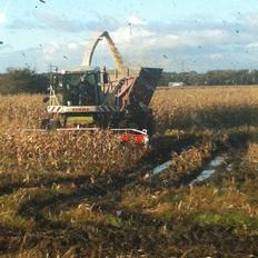 Fendt Favorit 611 Special