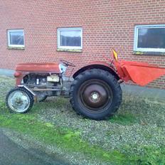 Massey Ferguson 31