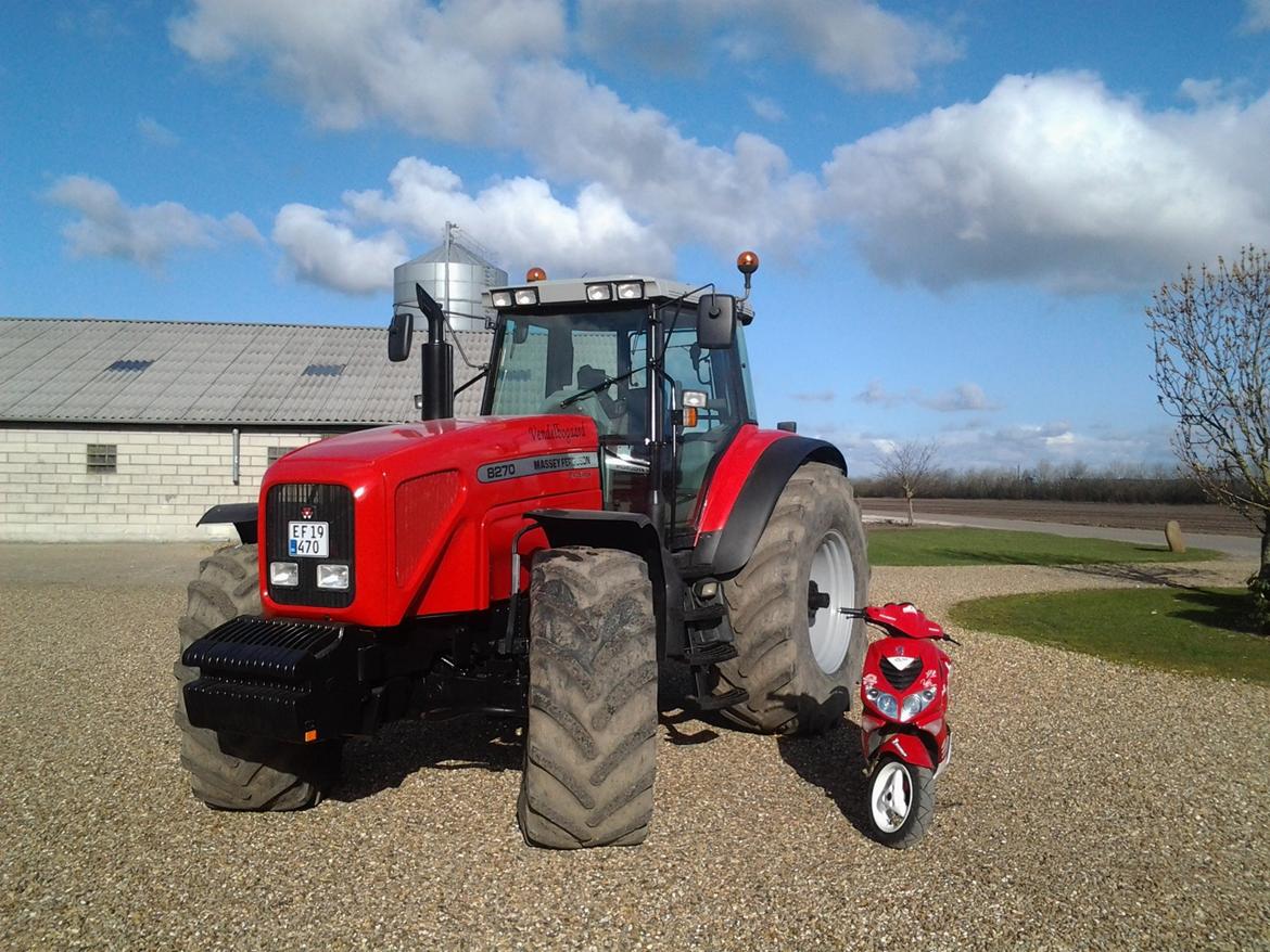 Massey Ferguson 8270 billede 12