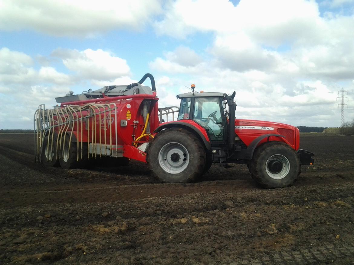 Massey Ferguson 8270 billede 14