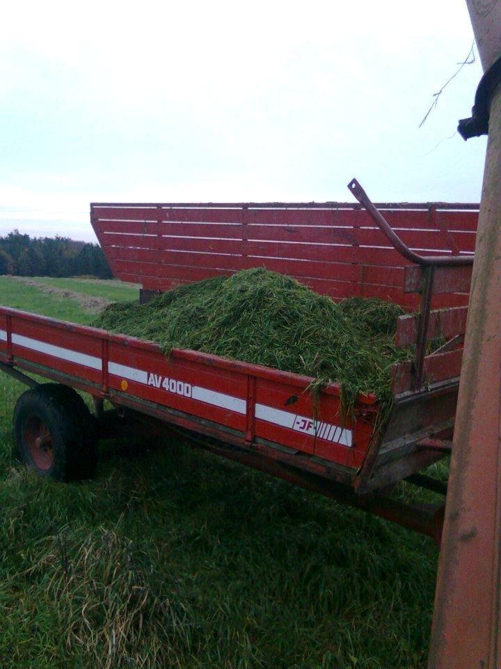 Massey Ferguson 365 billede 4