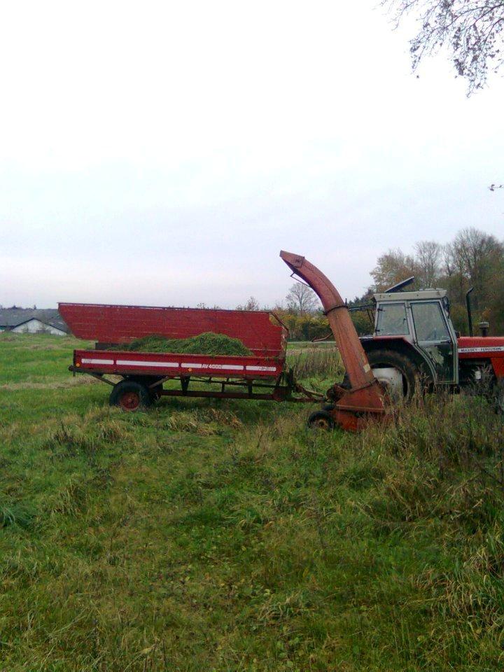 Massey Ferguson 365 billede 2