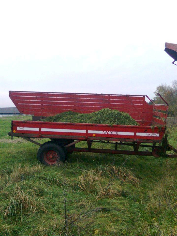 Massey Ferguson 365 billede 3
