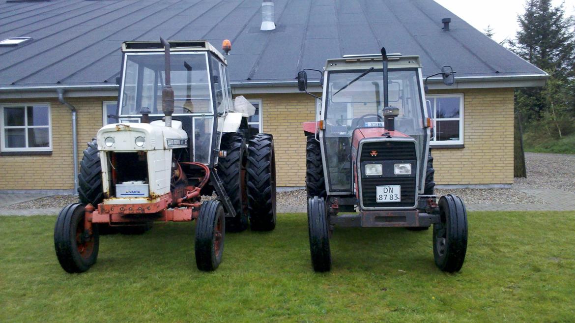 Massey Ferguson 365 billede 5