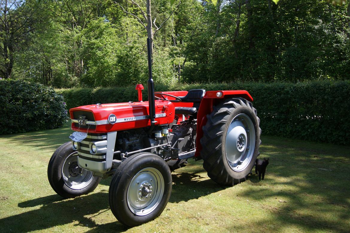 Massey Ferguson 135 billede 3