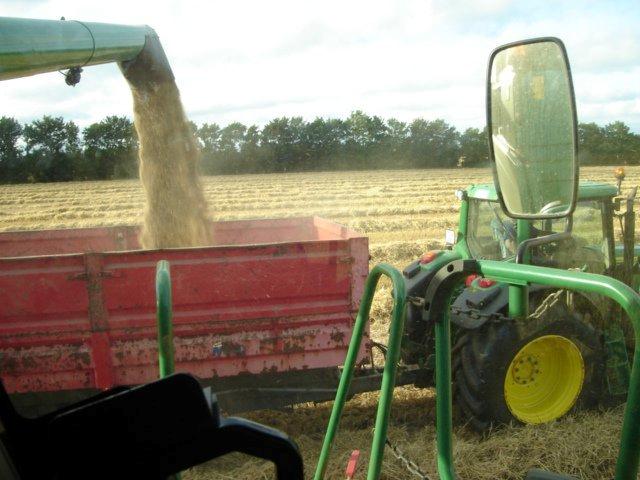 John Deere 6930 premium - Frakørsel af korn. billede 13