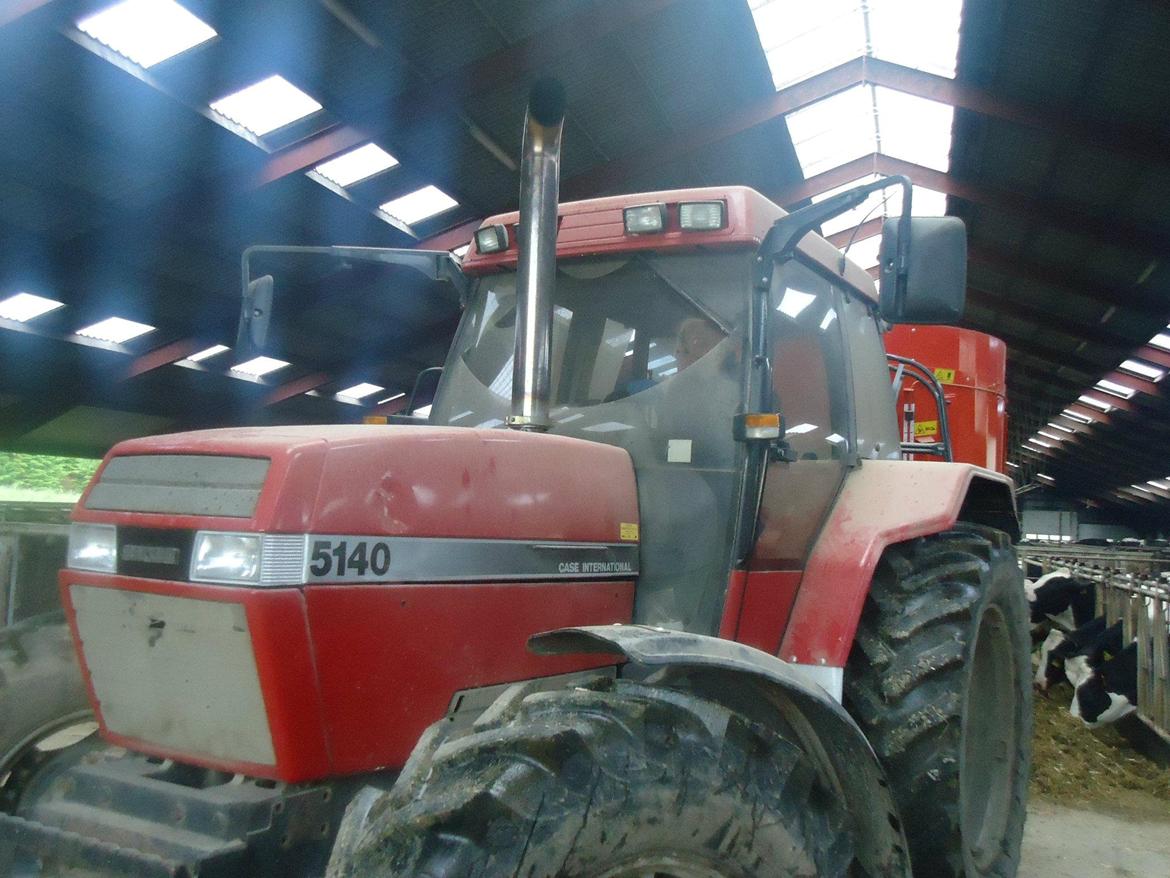 Case IH Maxxum 5140 - første fodring med det nye blankrør billede 7