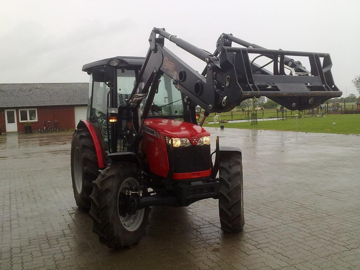 Massey Ferguson 3645 billede 1