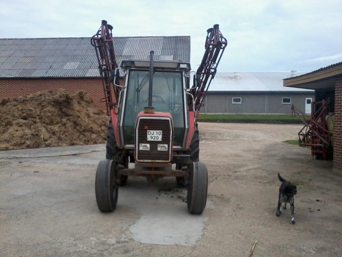 Massey Ferguson 3070 billede 4