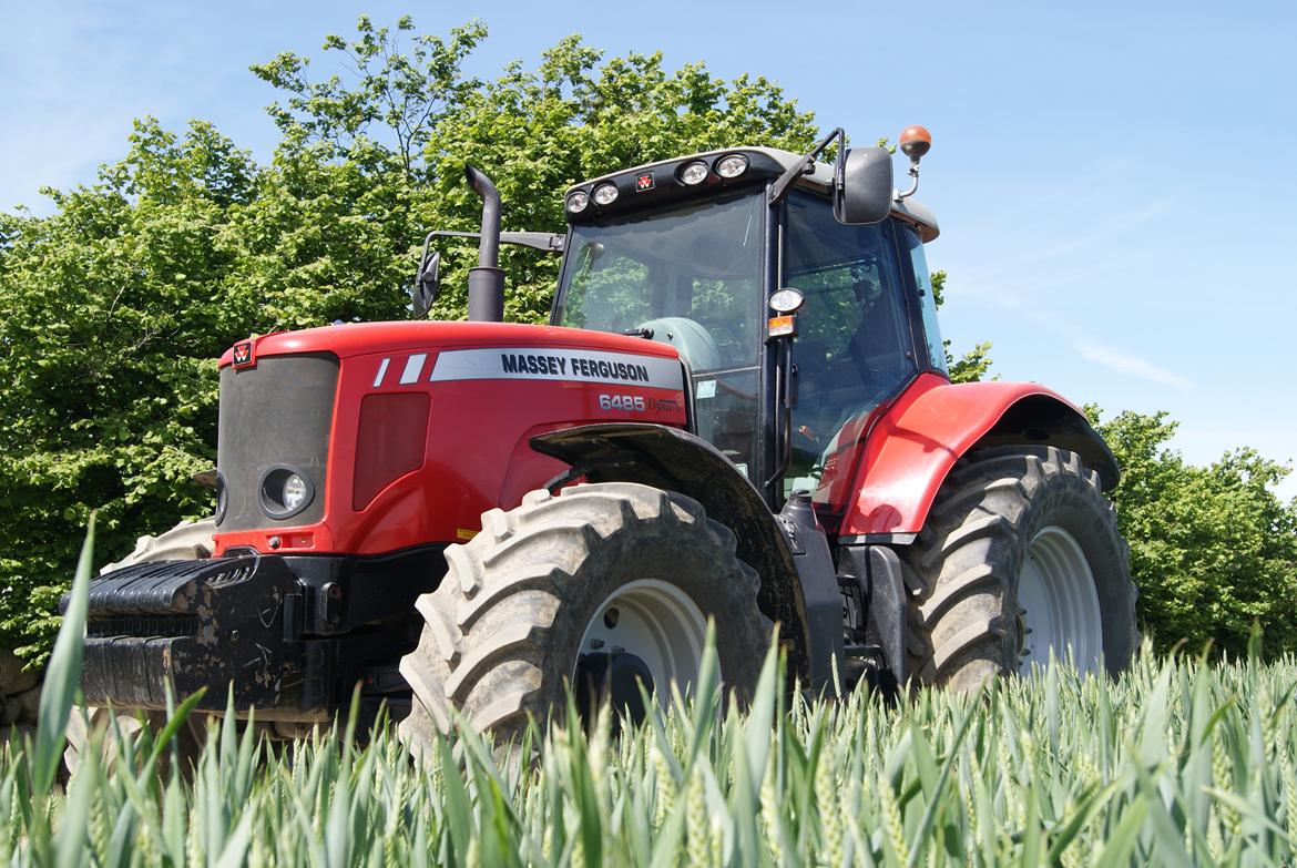 Massey Ferguson Dyna-6 6485 billede 12