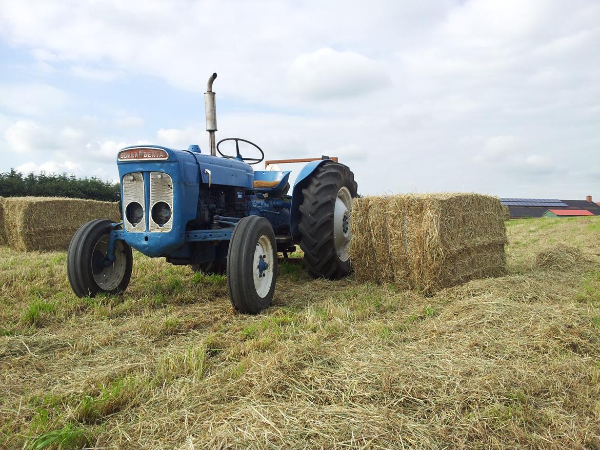 Ford super dexta billede 2
