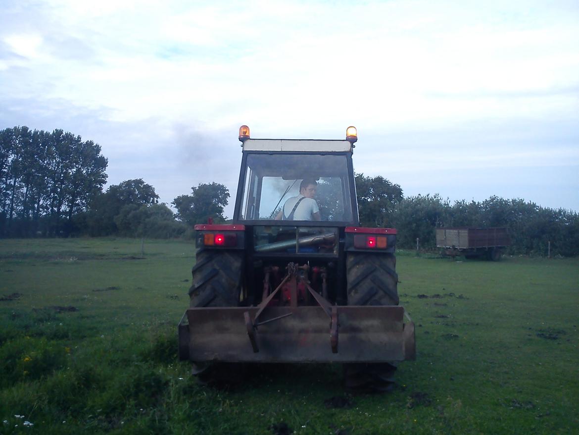 International Harvester 844S billede 3