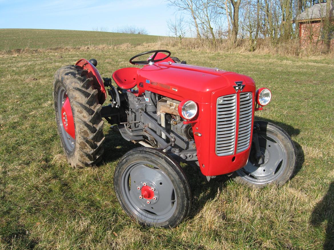 Massey Ferguson 35 billede 1