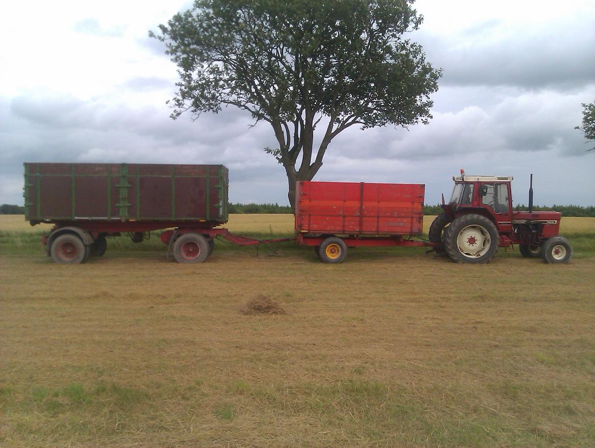 International Harvester 1056XL - høst trækket i dag i frø, når vi køre korn har vi 844 for den første vogn og uden høj sidder og hængeren på 1056  billede 8