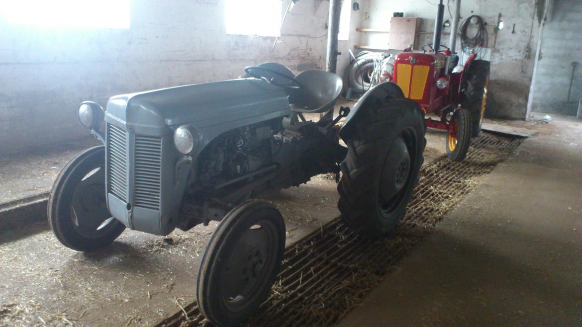 Ferguson 31 billede 1
